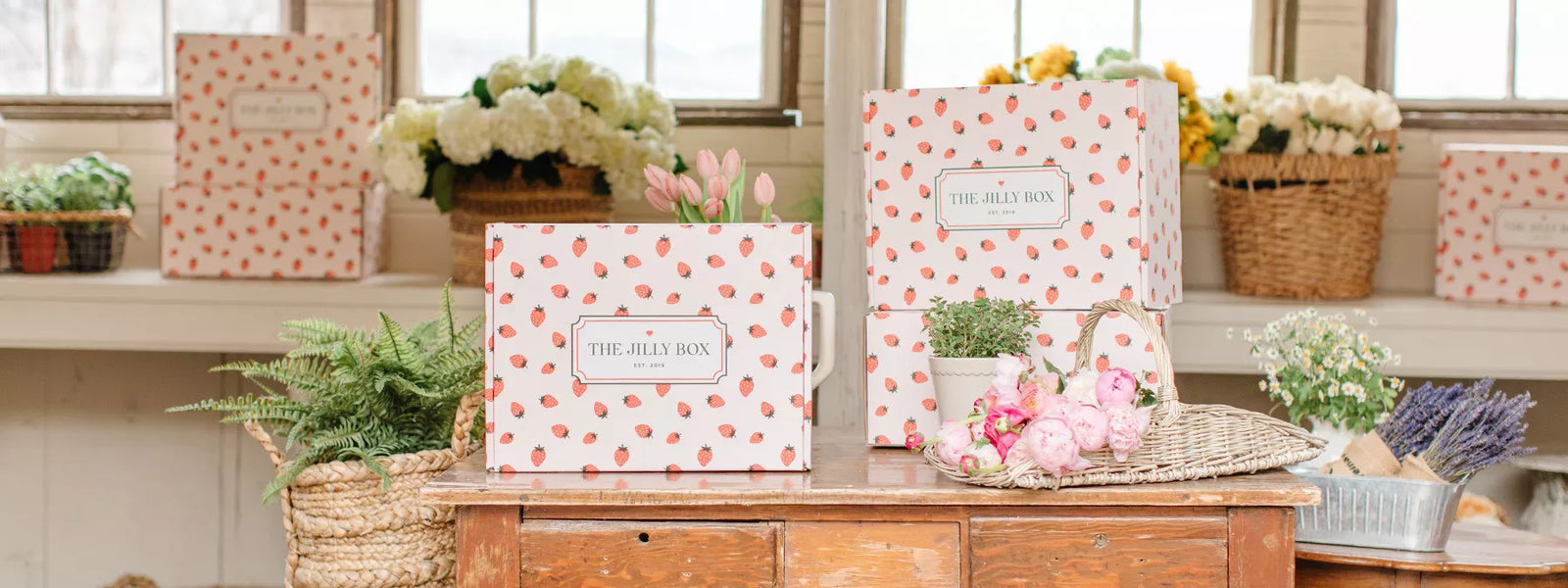 Jilly Box Summer 2022