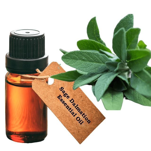 Sage Dalmation Essential Oil Pesticide Free Soap More