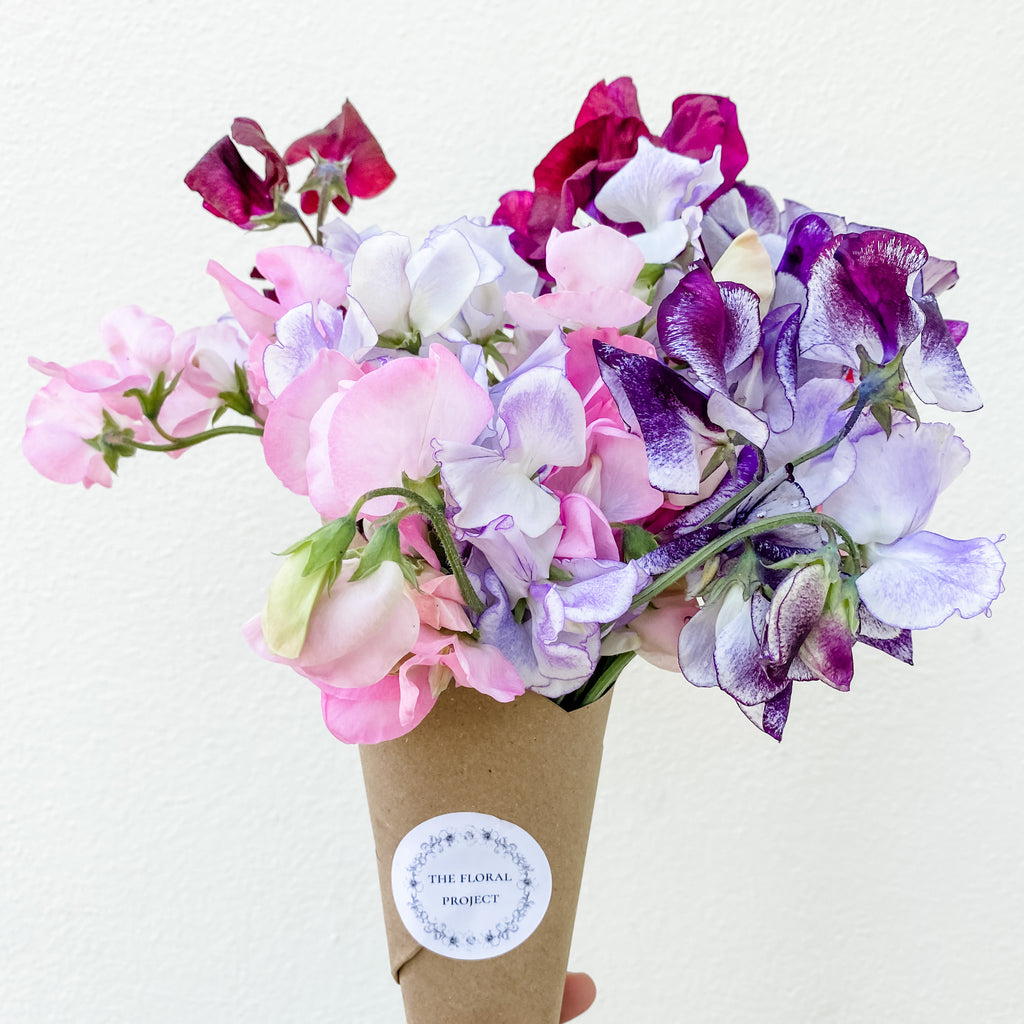 Sweet Peas The Floral Project
