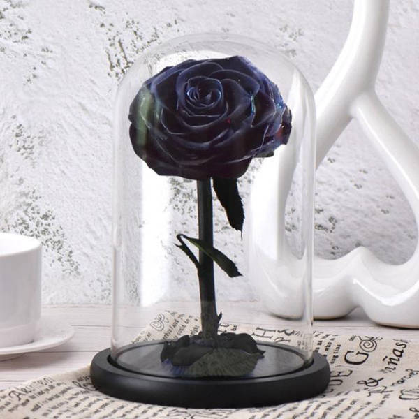 Rose Eternelle Sous Cloche Noir Royaume Eternel