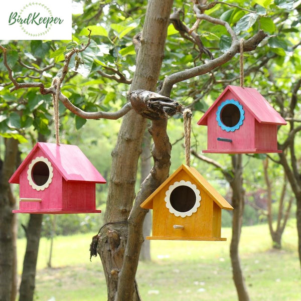 Birdkeeper Nichoir Oiseaux Cabane Coloree