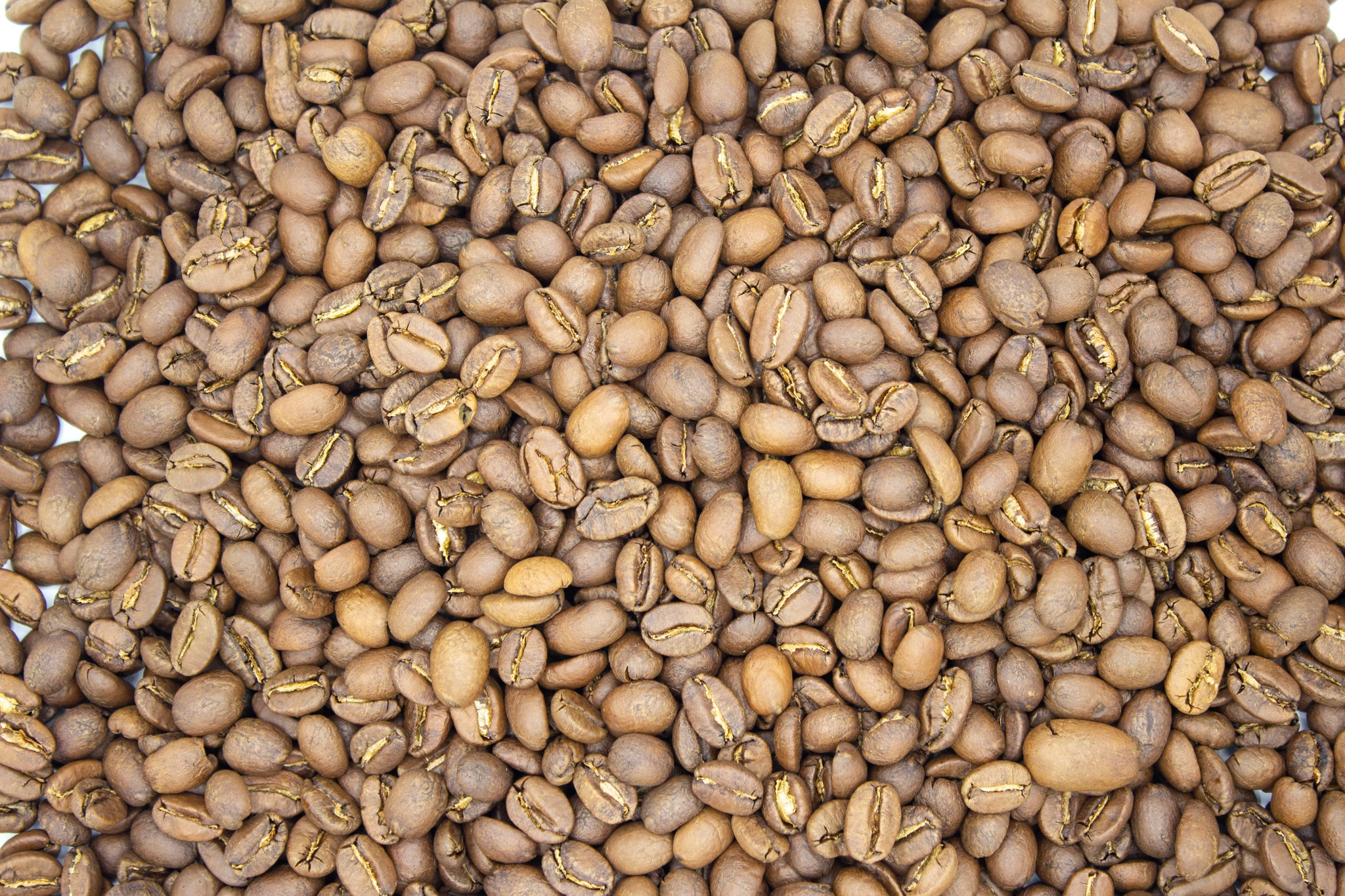 Thelostbeanroasterie