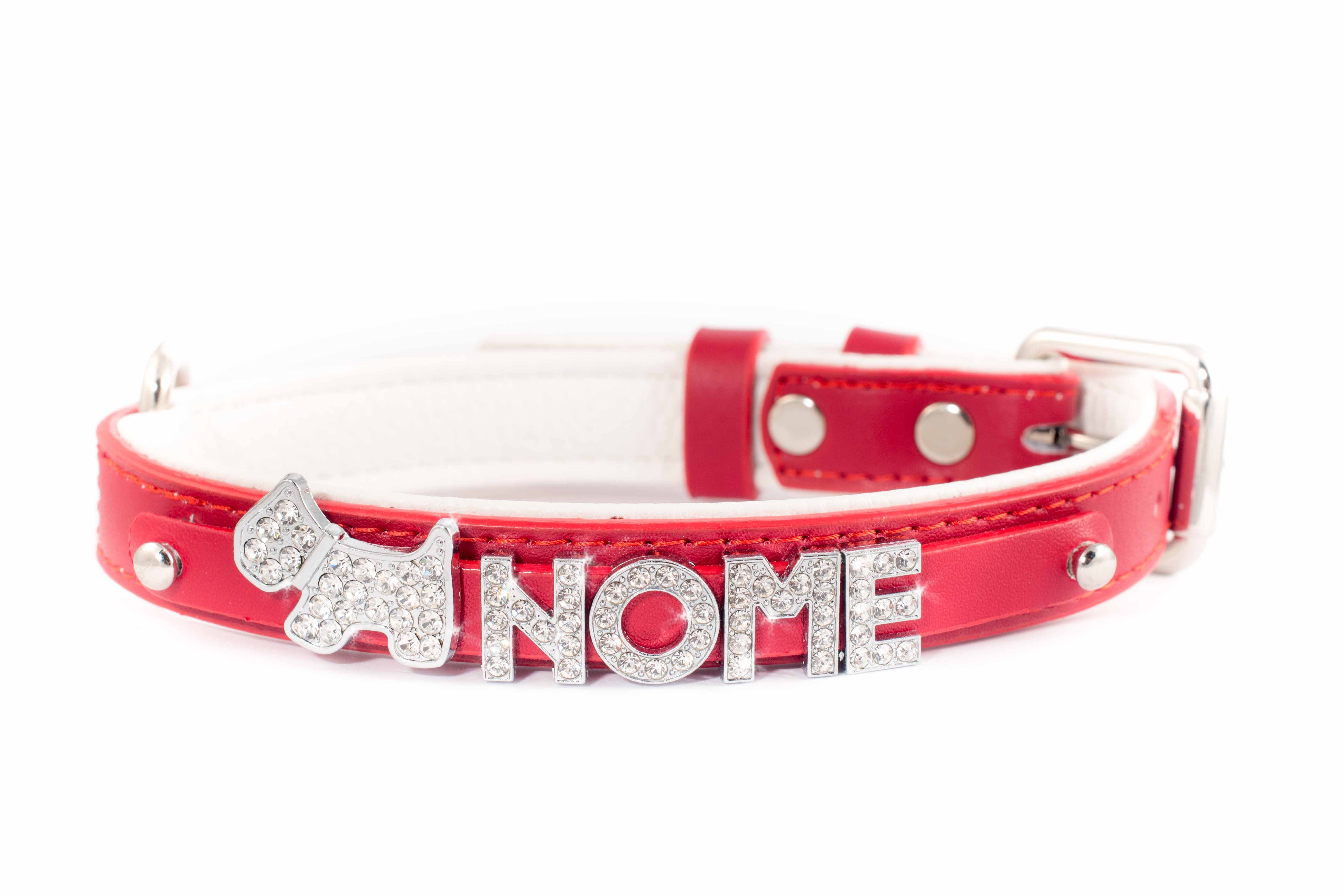 Collarissimo Il Collare Con Il Nome Del Tuo Cane Collarissimo Il Collare Con Il Nome Del Tuo Cane