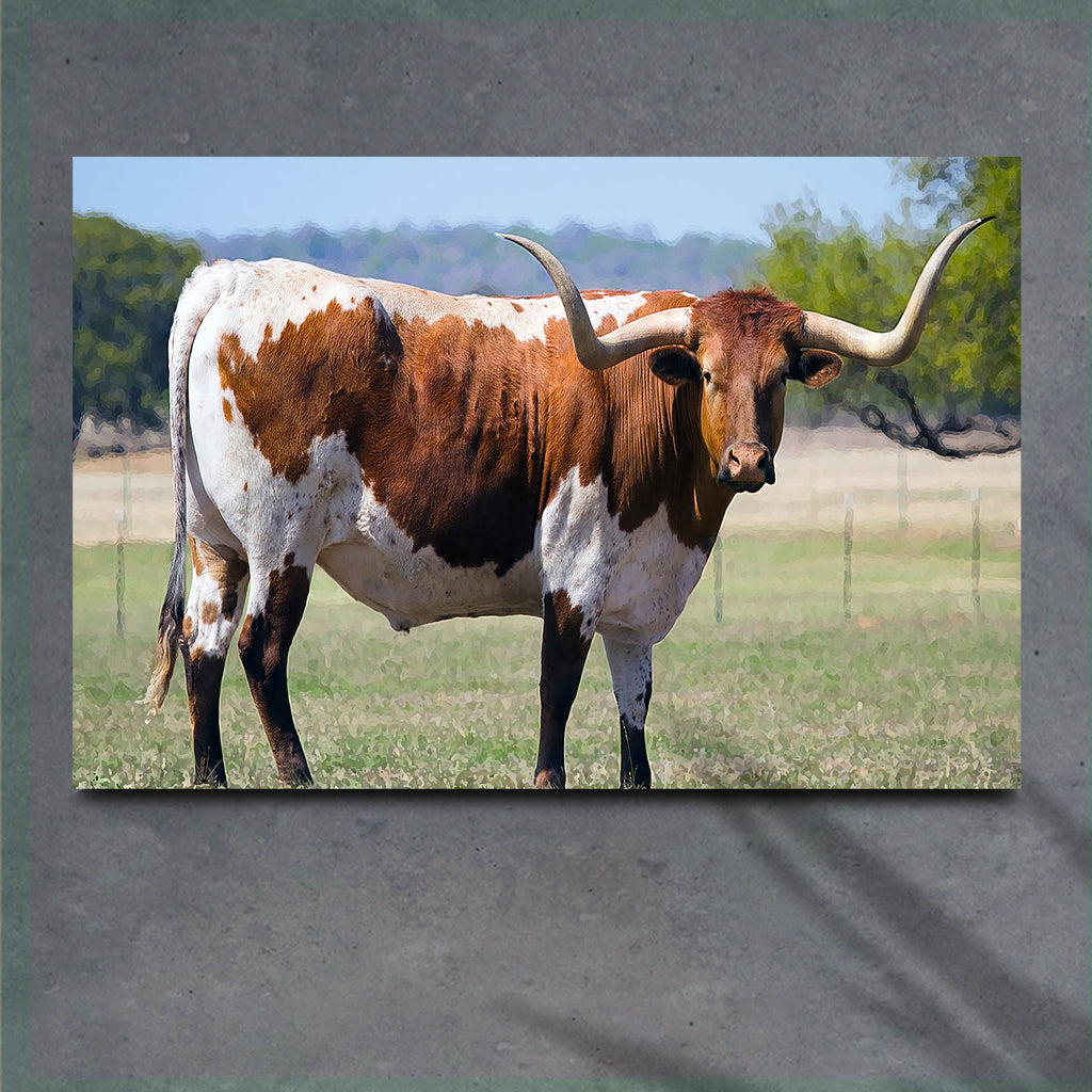 Texas Longhorn Cattle Canvas Wall Art Tailored Canvases