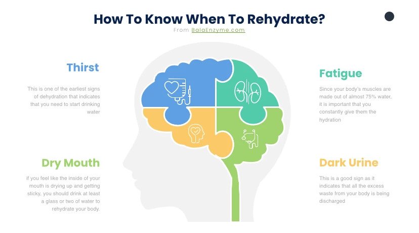 How Long Does It Take To Rehydrate Bala Enzyme