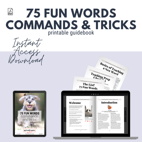 75 Fun Words Commands And Tricks To Teach Your Dog Shop Lizlegere Com