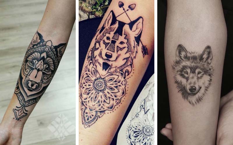 Top 10 Des Tatouages Loup Femme Terre Des Loups