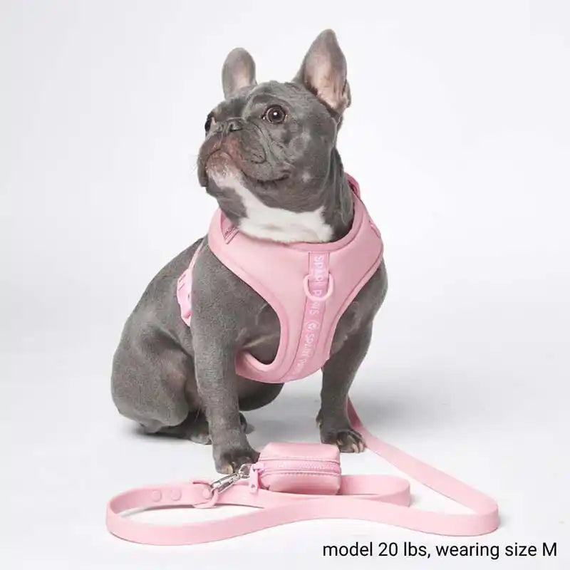 Athleisure Cushioned Dog Harness Miamore Pets