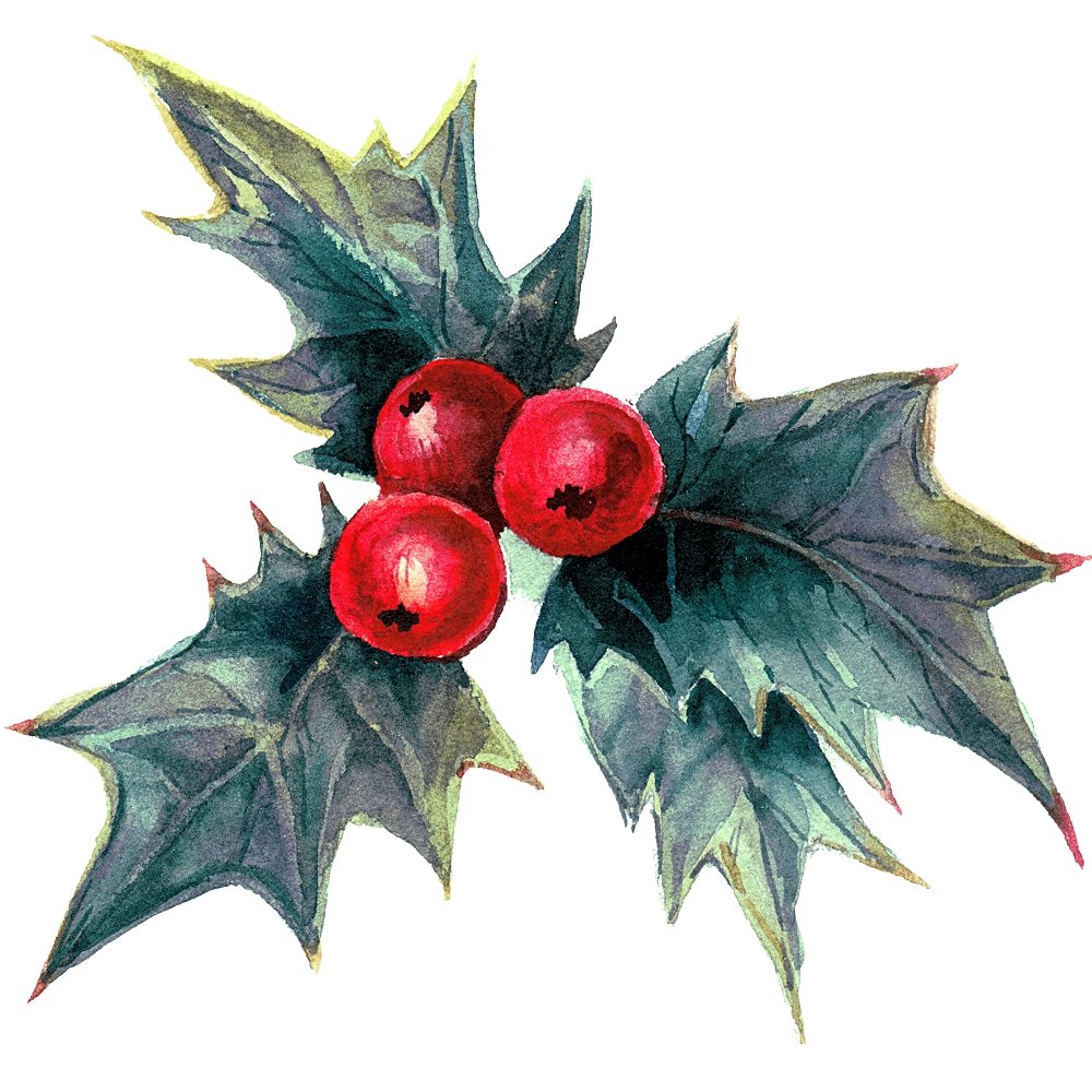 Holly Berry Plant Style 1 Fabric Panel Ineedfabric Com