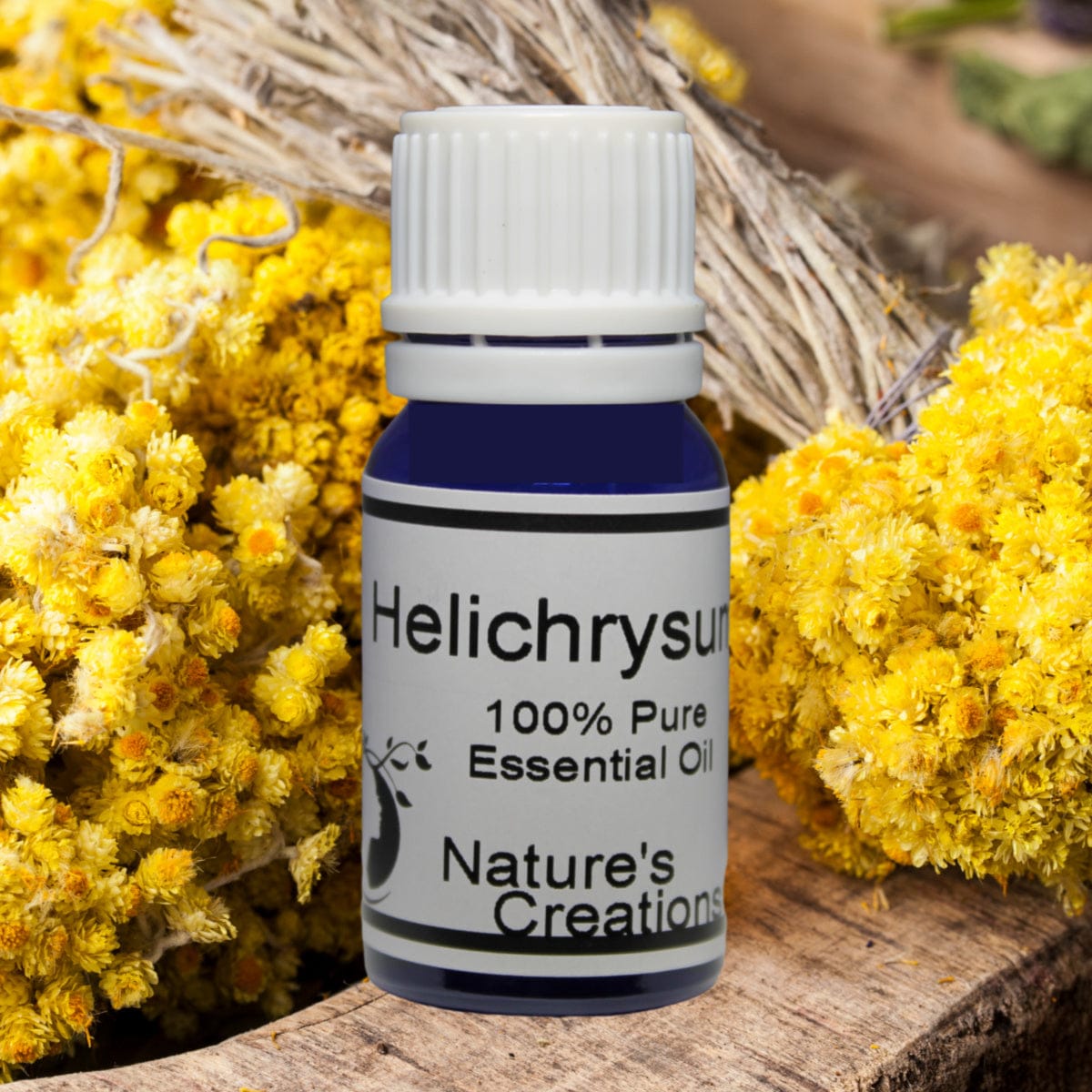Helichrysum 10 Essential Oil 10ml Natural Beauty Skincare By Nature S Creations Aromatherapy