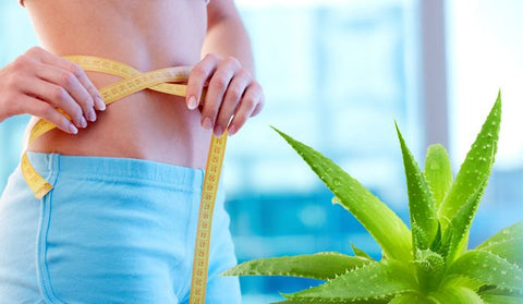 6 Fantastici Benefici Dell Aloe Vera Per Capelli Pelle E Dimagrimento Prodotti Herbalife Online