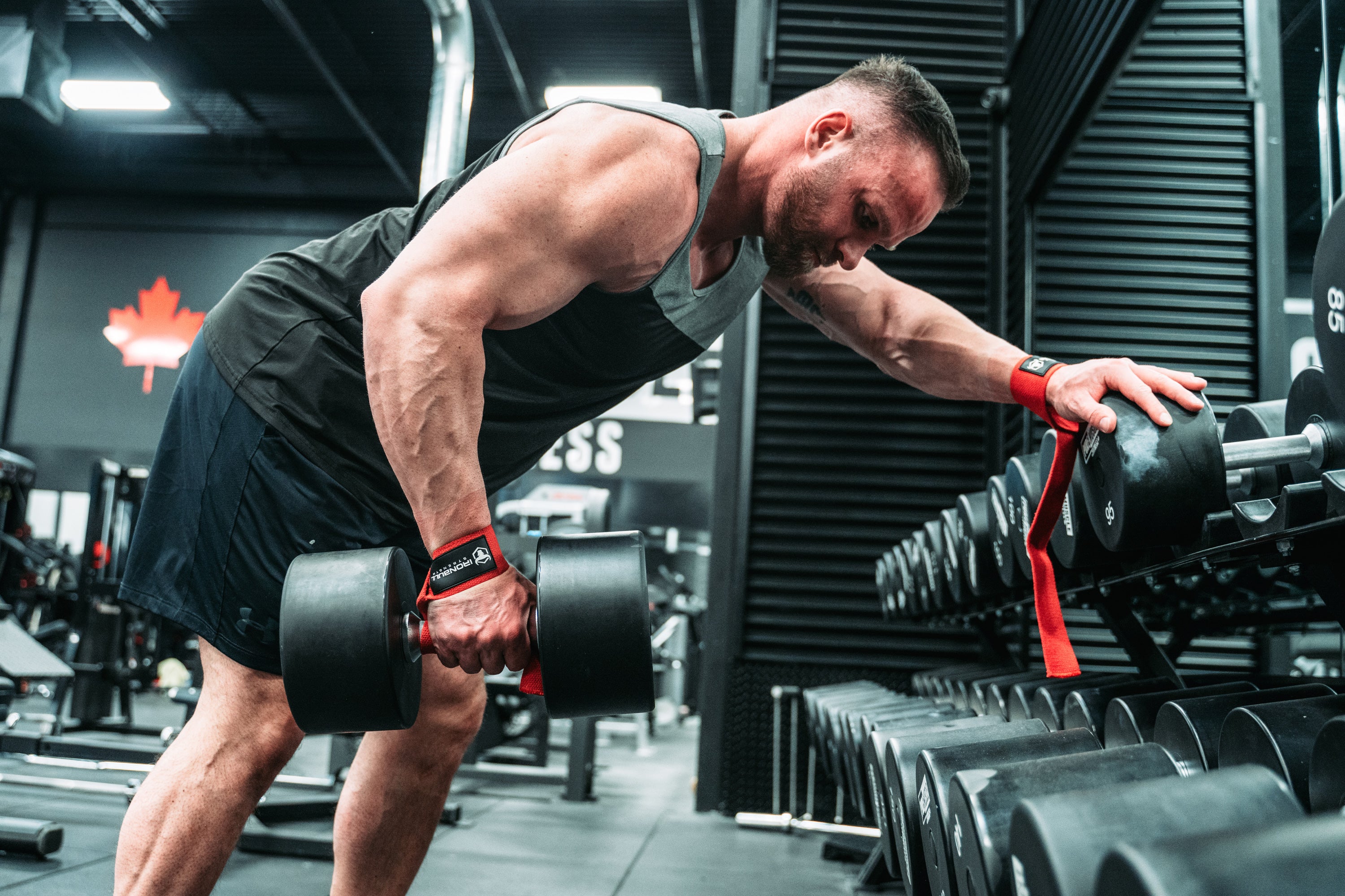 Dumbbell Back Workouts For Size Strength And Weight Loss