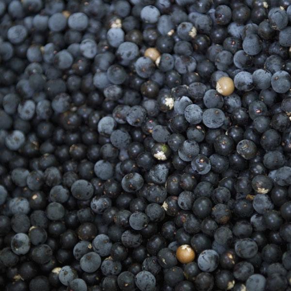Fresh Acai Berries Melissas Produce
