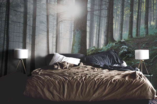 Nature Wallpaper Room Many brands now produce both wallpaper and paint, so tricky want more wallpaper inspiration? nature wallpaper room
