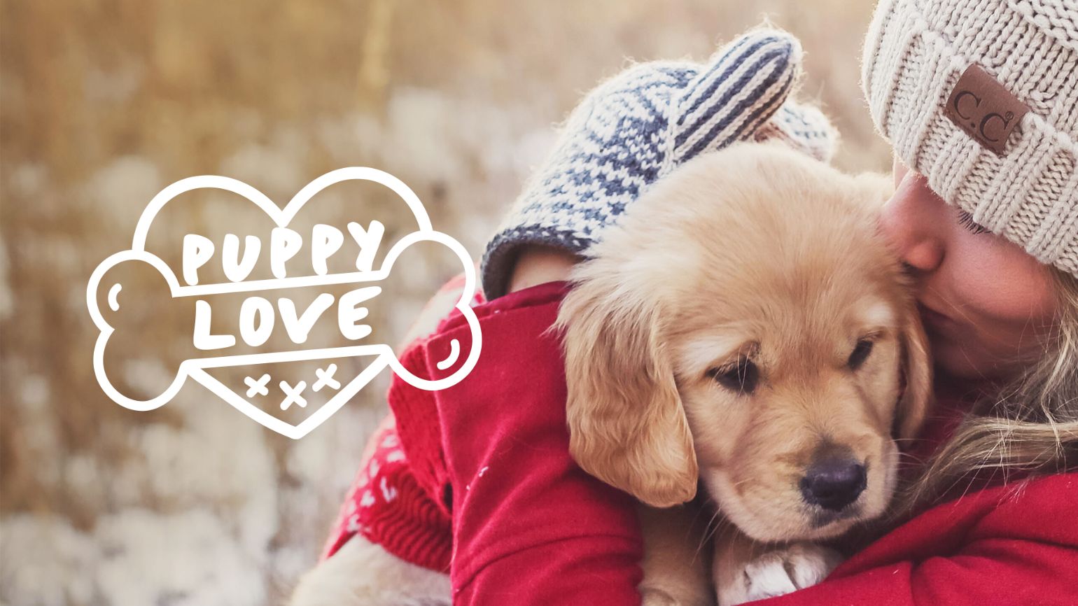 The Science Behind Puppy Love Best In Show
