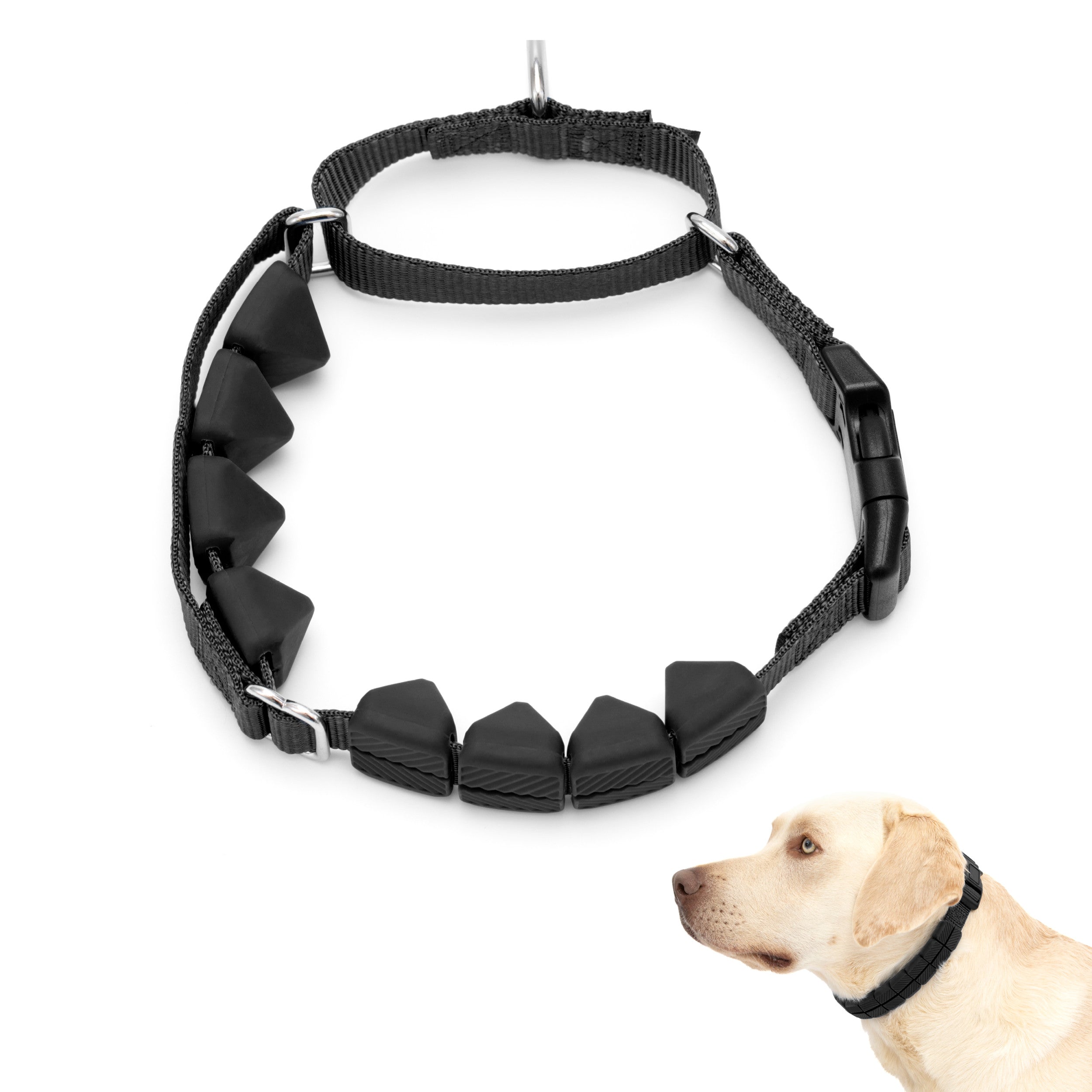 Soft Point Training Collar