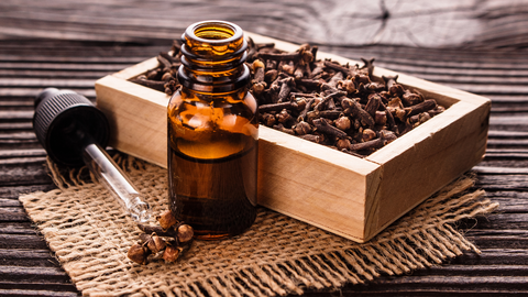 Getting To Know Clove Essential Oil Warmth Stimulation And Antioxidants Be Vivid You