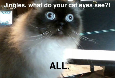 What Is My Cat Trying To Tell Me Meowingtons