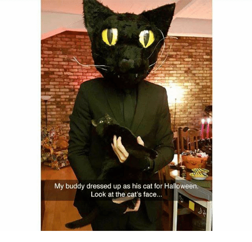 The Best Cat Meme Inspired Halloween Costumes To Try Meowingtons