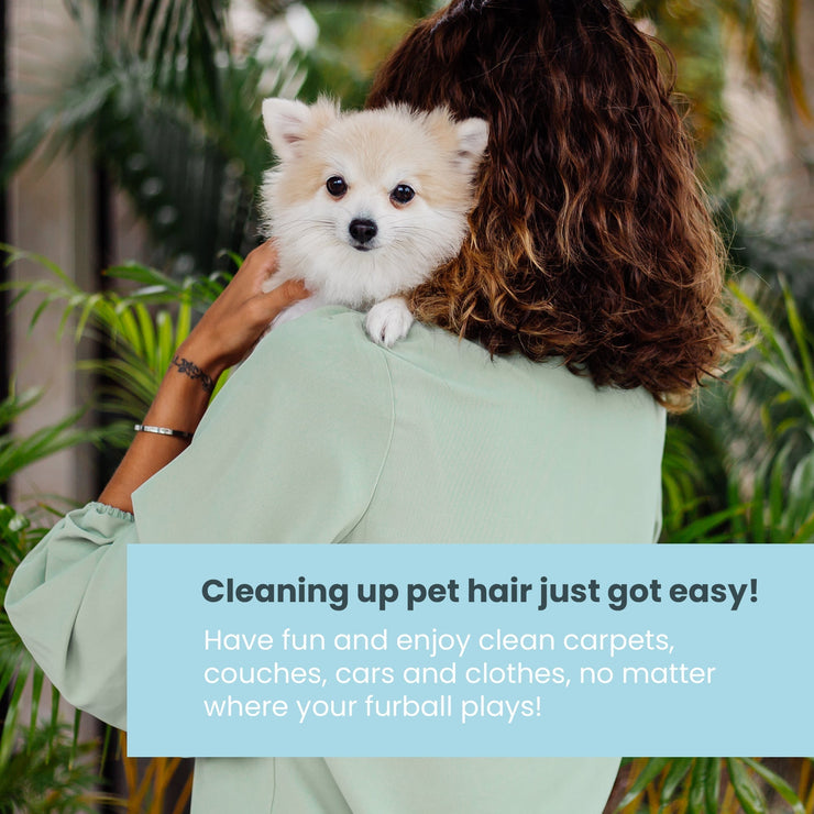 Uproot Cleaner Bundle America S Steals Deals