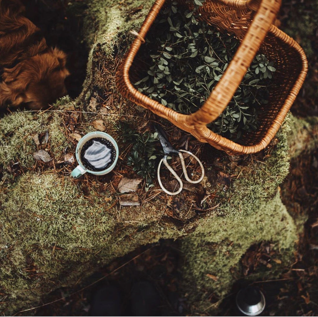 Intervju Med Angelica Rosengren Svanfeldts Coffee