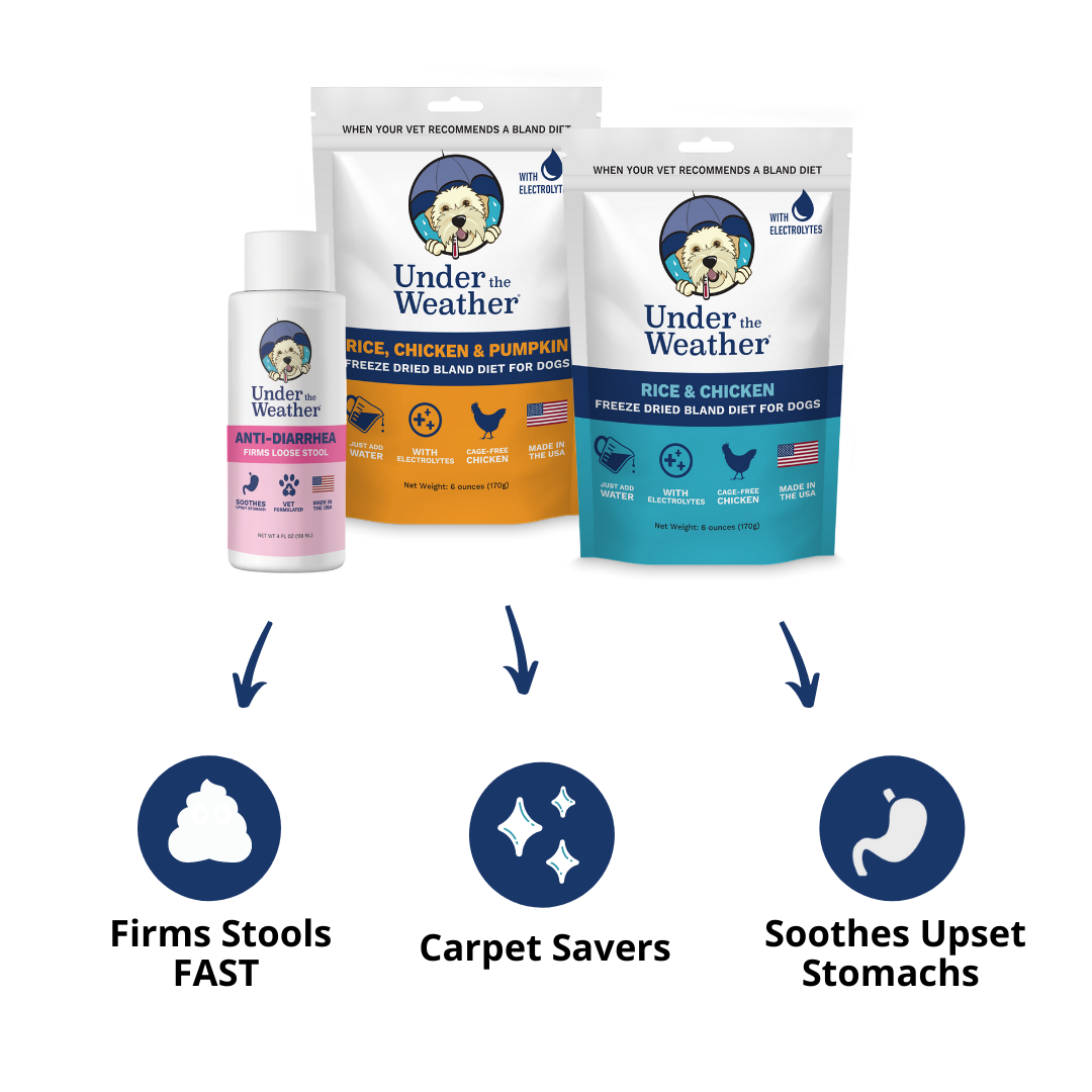 Anti Diarrhea Bland Diet For Dogs Under The Weather