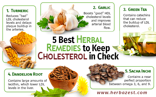 What Causes High Cholesterol 10 Ways To Lower Your Cholesterol Me First Living