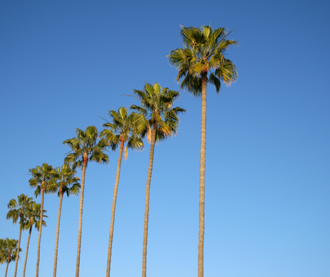 San Diego Bachelorette Party Guide Itinerary Ideas Bach Bride