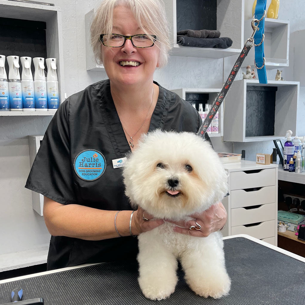 Dog Grooming Courses Dog Grooming Products Julie Harris Groomer