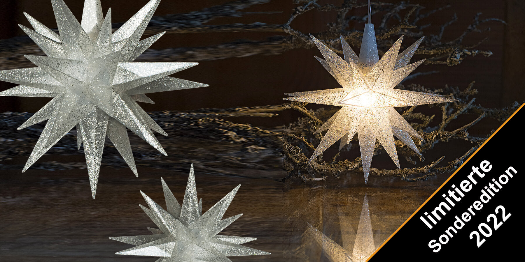 Herrnhuter Sterne Sonderedition 2022 Silber Glitter Limitierter Stern Sonnenkopp Dessau