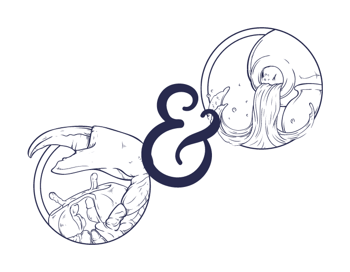 Sternzeichen Krebs Und Wassermann Partner Horoskop