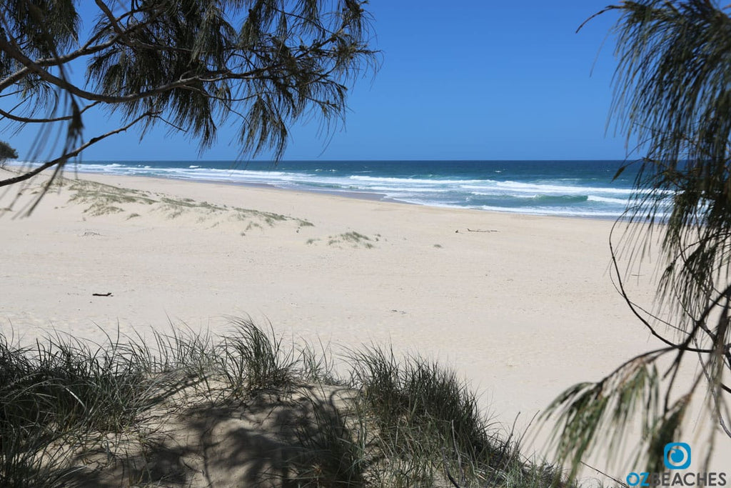 South Stradbroke Island A Natural Wonderland Just Off The Gold Coast Ozbeaches