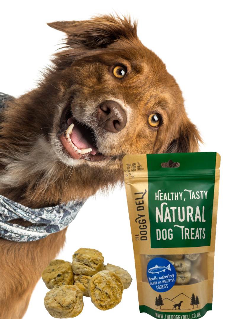 The Doggy Deli Natural Healthy Dog Treats Dog Toys And Accessories