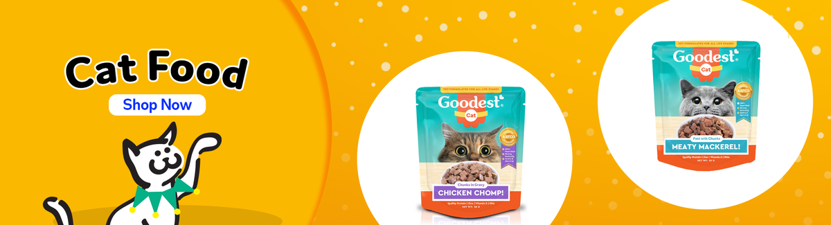 Pet Store In Philippines Treats For Dogs Cats Pet Express