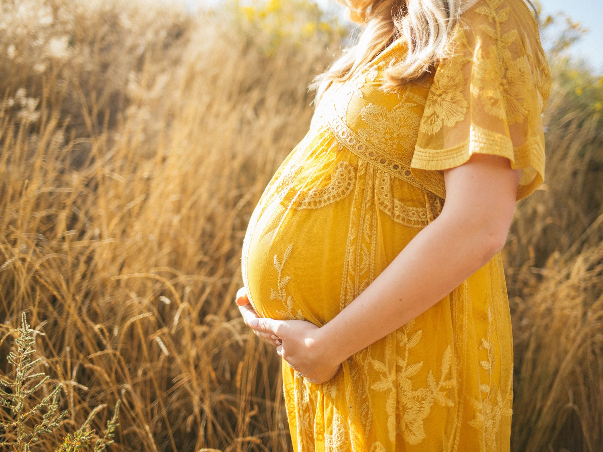 Immunsystem Starken Wahrend Der Schwangerschaft Naturely
