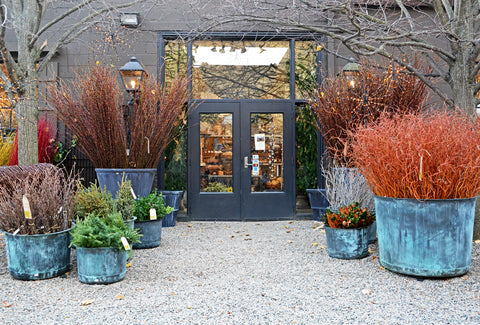 Detroit Garden Works Anamese Garden Home