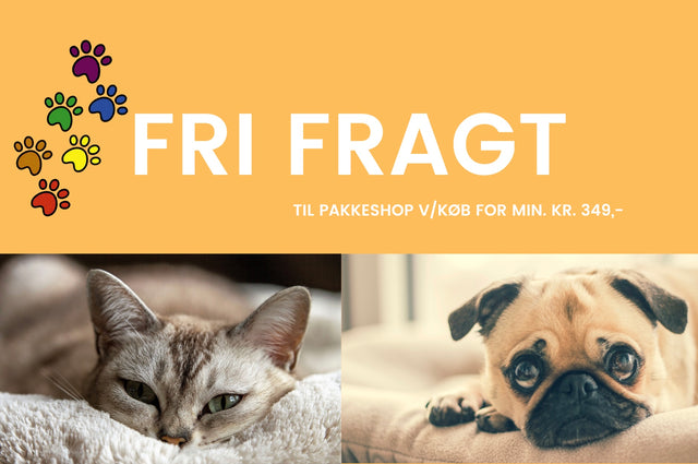 Kj Dog Food Kj Dog Food