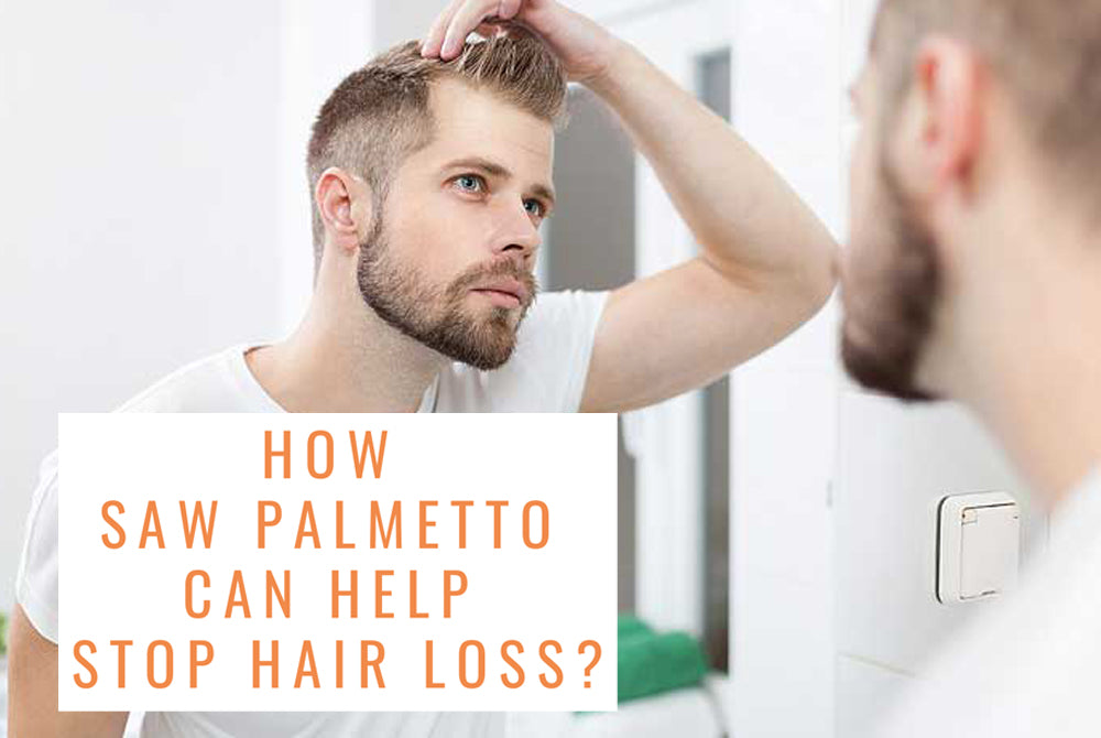 How Saw Palmetto Can Help Stop Hair Loss Honeyderm