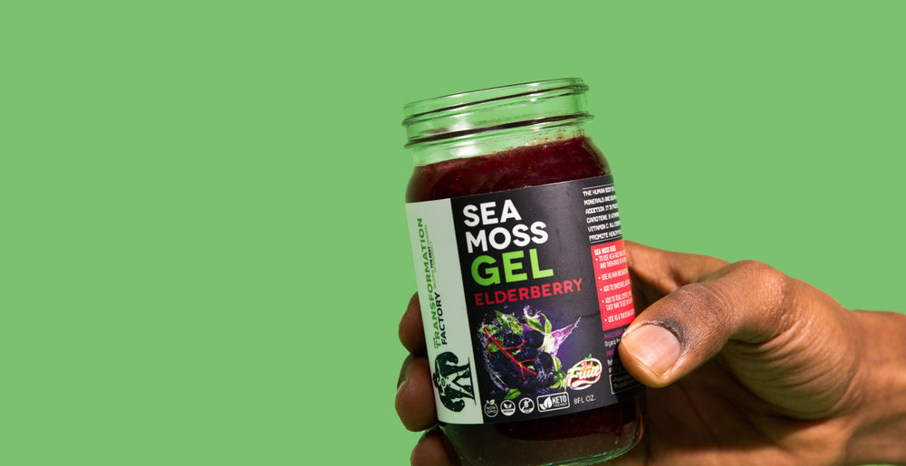 Sea Moss Gel From Wildcrafted Sea Moss The Transformation Factory