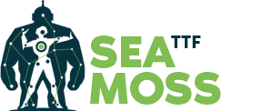 Sea Moss Gel From Wildcrafted Sea Moss The Transformation Factory