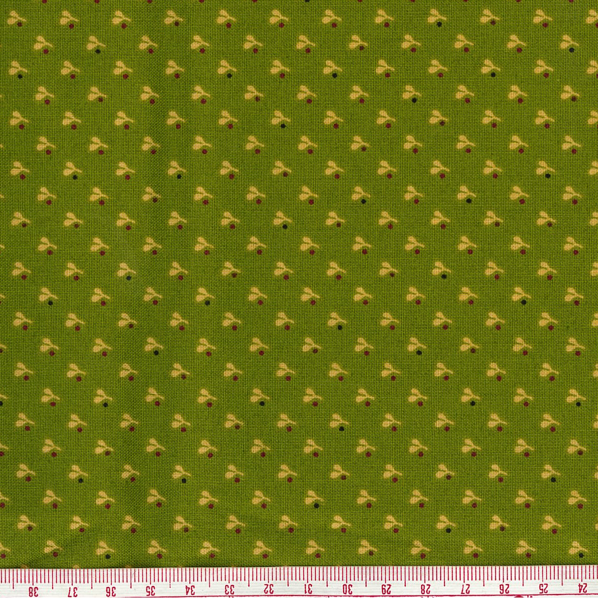 Kim Dahl 6936 66 Farmstead Harvest Green Homepatch