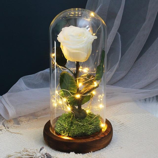 Roses Eternelles Sous Cloche Fleuriste Paris Aureole Florale