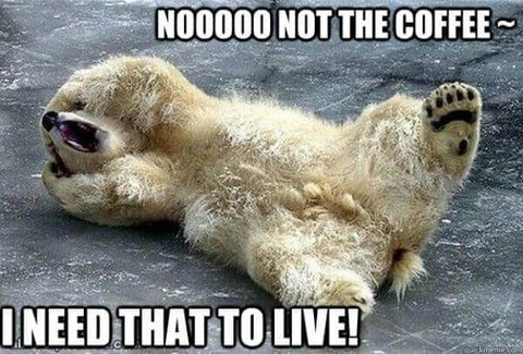 15 Coffee Memes That Are Super Relatable