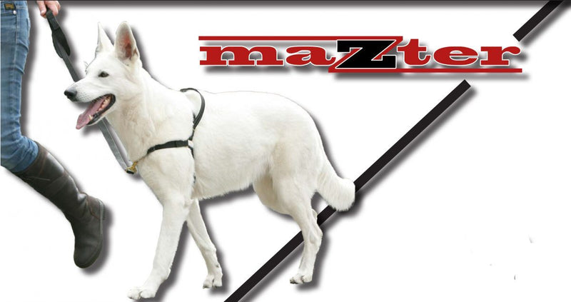 Zterk Mazter Anti Trektuig Dexters Dog Food
