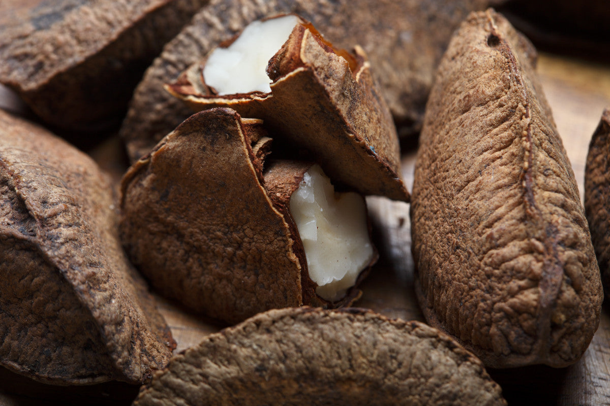 Everything You Need To Know About Brazil Nuts Ayoub S Dried Fruits Nuts