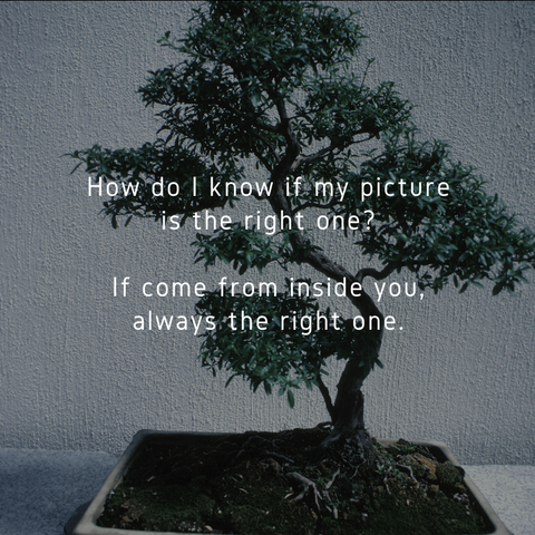 The Karate Kid Mr Miyagi S Best Quotes On Life Chipmonk Baking