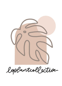 Las Vegas Plant Collective Lv Plant Collective