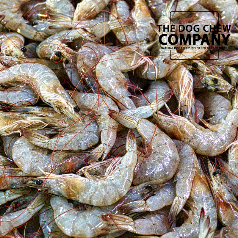 Can Dogs Eat Prawns The Dog Chew Company