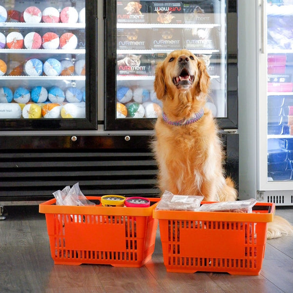 5 Mistakes That Raw Feeders Make The Urban Pet Store
