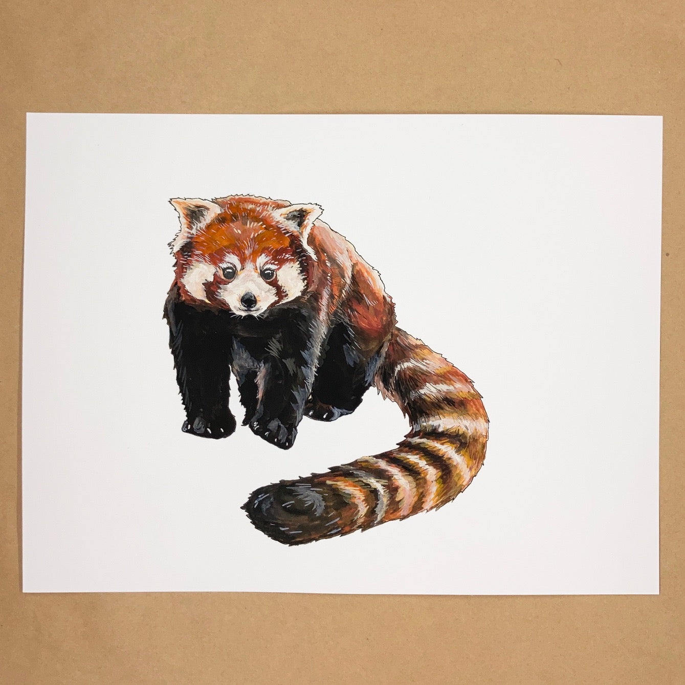 Original Red Panda Painting Irene Akio